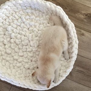 Handmade Large pet beds